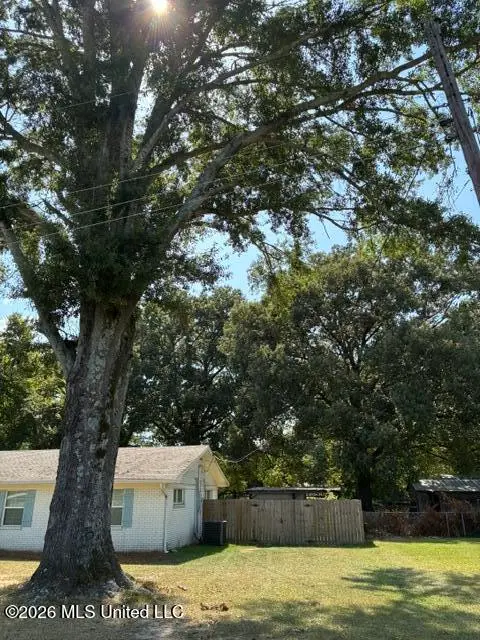 106 Cox Drive, Bentonia, MS 39040 - #2