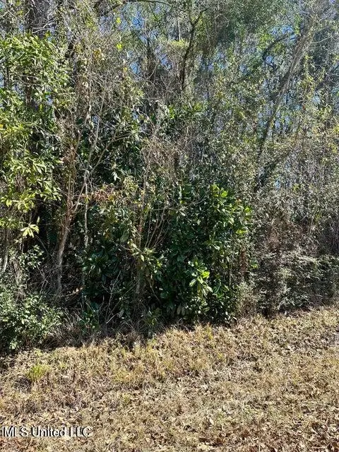00 Mary Edith Street, Ocean Springs, MS 39564 - #1
