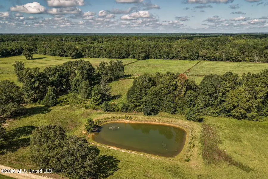 2498 Hilton Lane, Smithdale, MS 39664 - #2
