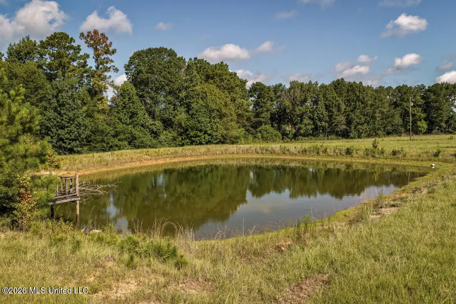2498 Hilton Lane, Smithdale, MS 39664 - #3
