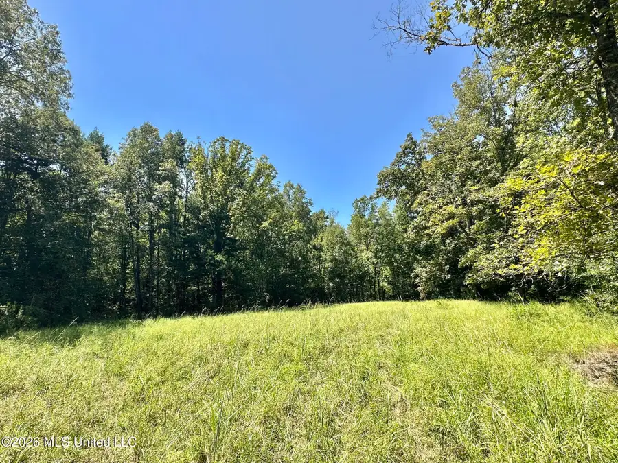 1 County Road 24, Enterprise, MS 39330 - #2