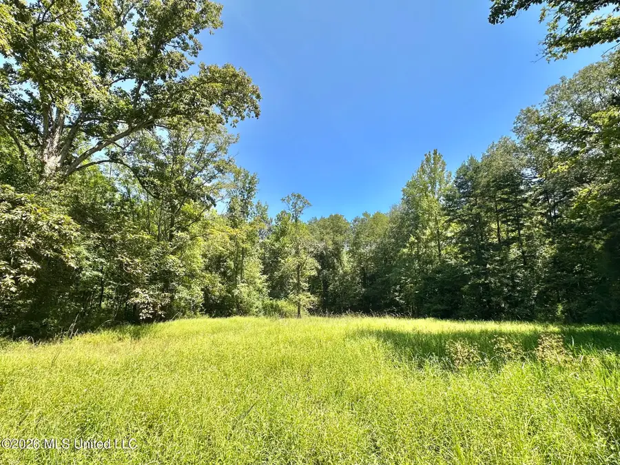 1 County Road 24, Enterprise, MS 39330 - #3