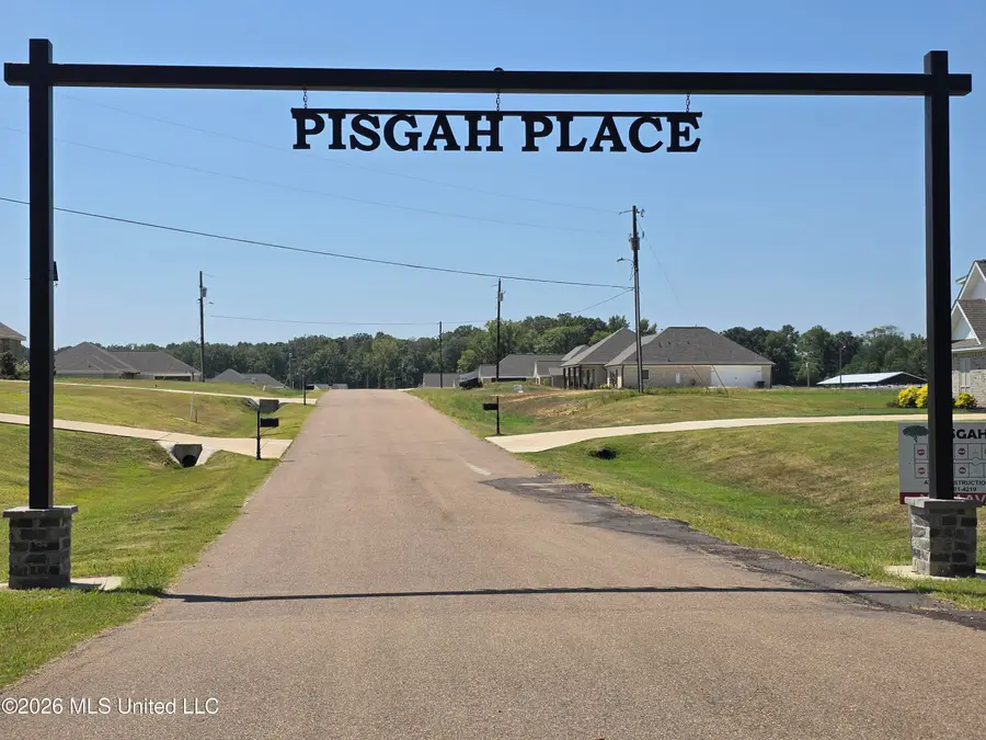 235 Lizzy Lane, Brandon, MS 39047 - #2