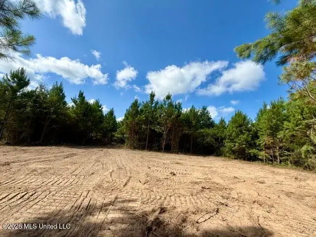 Robert Bateman Road, Franklinton, LA 70438 - #2