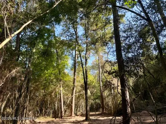 Robert Bateman Road, Franklinton, LA 70438 - #3