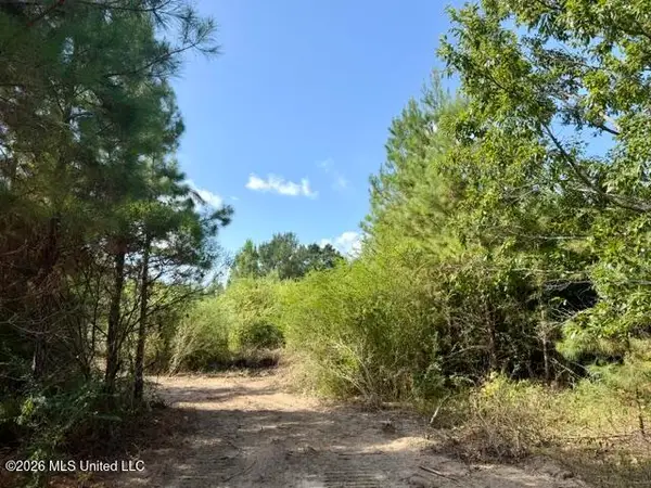 Robert Bateman Road, Franklinton, LA 70438