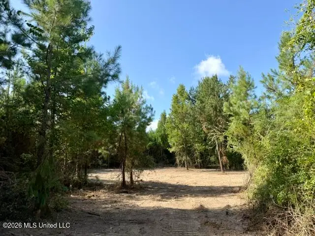 Robert Bateman Road, Franklinton, LA 70438 - #2