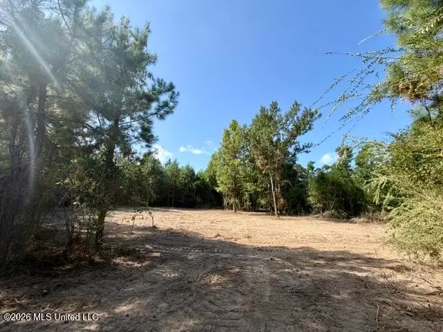 Robert Bateman Road, Franklinton, LA 70438 - #3