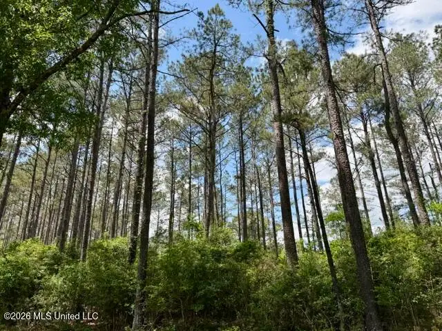 000 Old State Line Road, Tylertown, MS 39667 - #3
