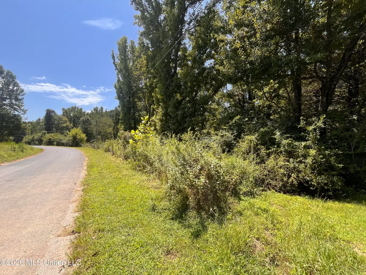 77 Lenzi Road, Byhalia, MS 38611 - #1