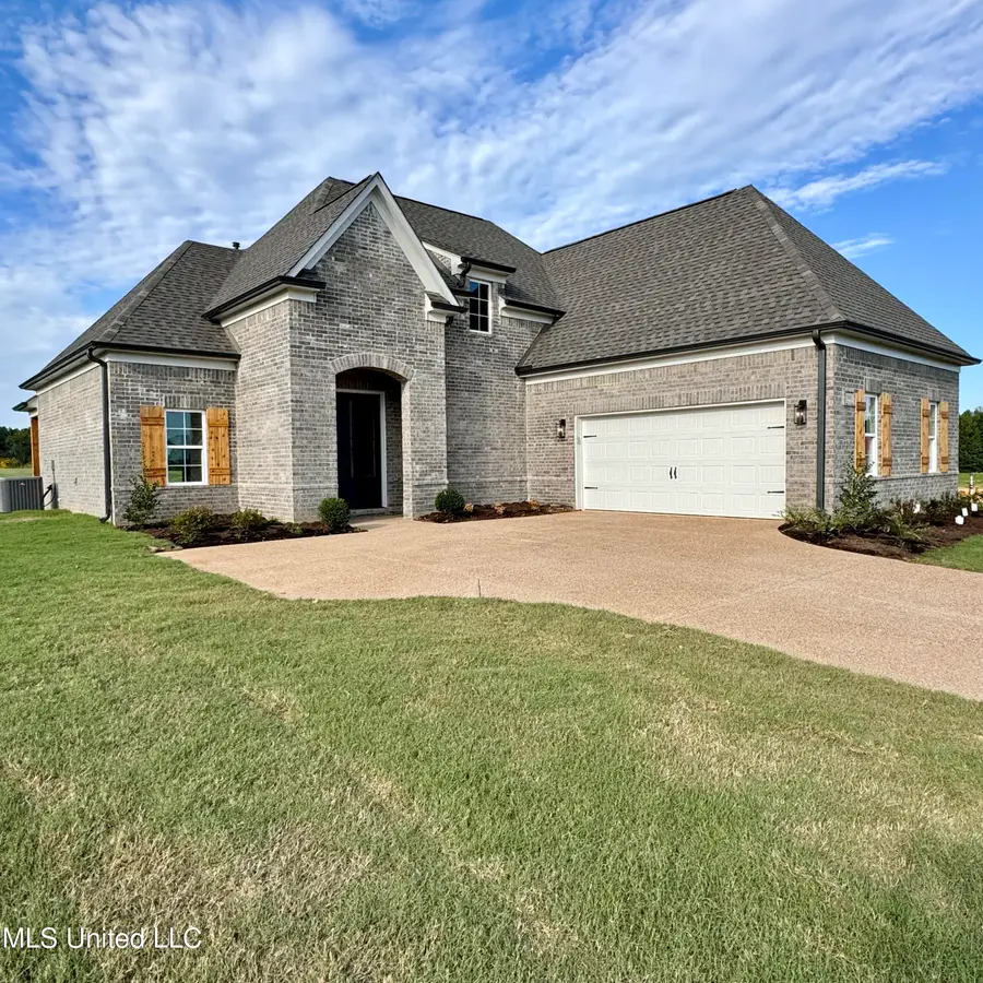 7650 Thomas Riley Street, Hernando, MS 38632 - #2