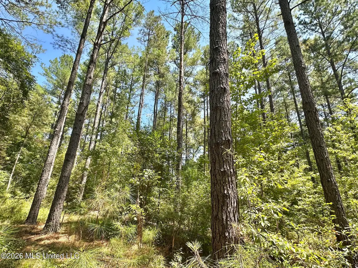 3 County Road 24, Enterprise, MS 39330 - #1