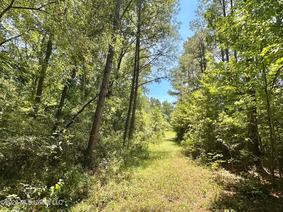 3 County Road 24, Enterprise, MS 39330 - #3