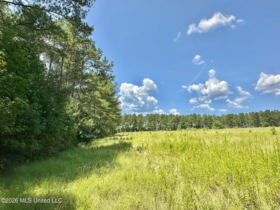 4 County Road 24, Enterprise, MS 39330 - #2