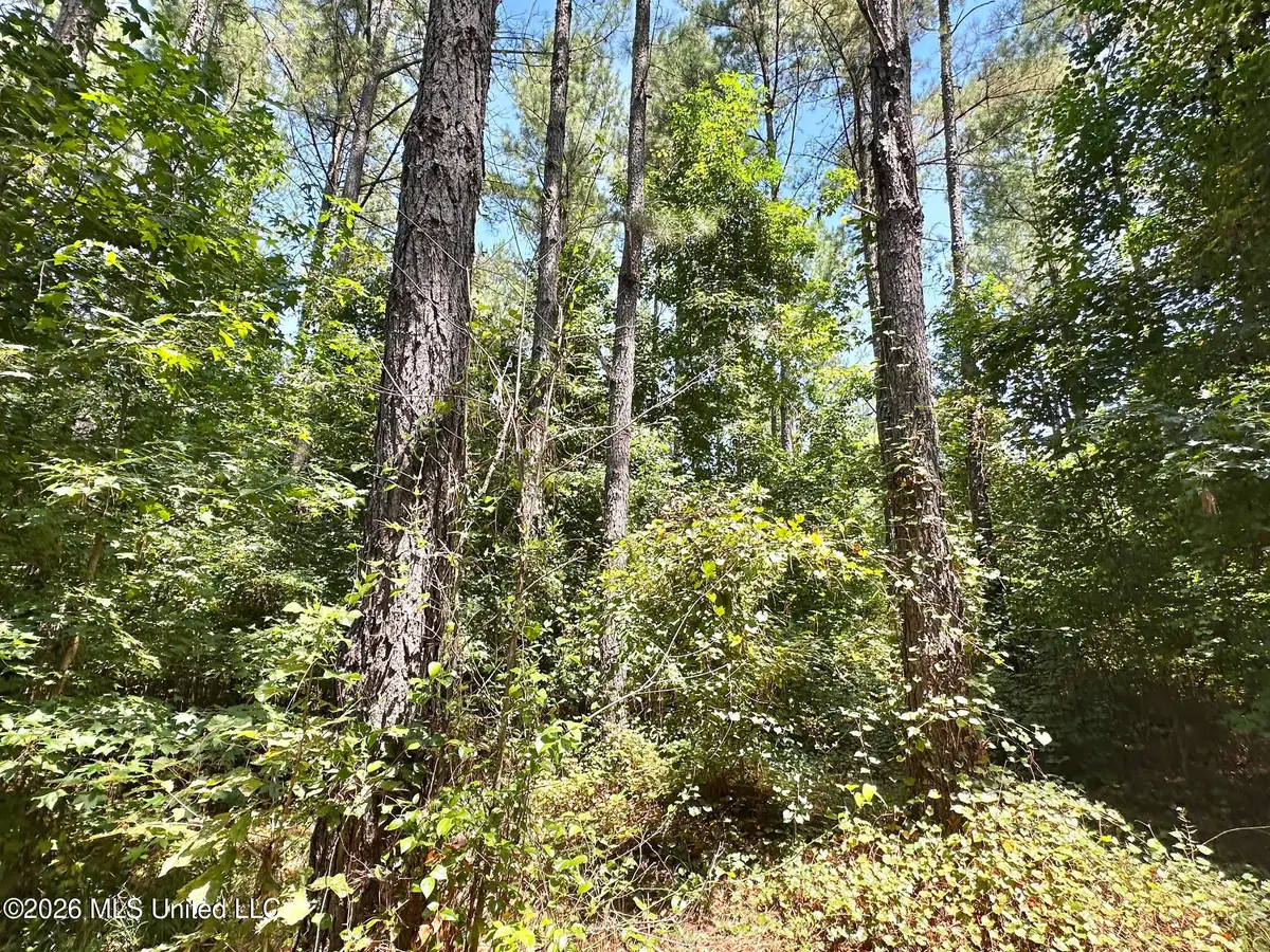 5 County Road 24, Enterprise, MS 39330 - #1