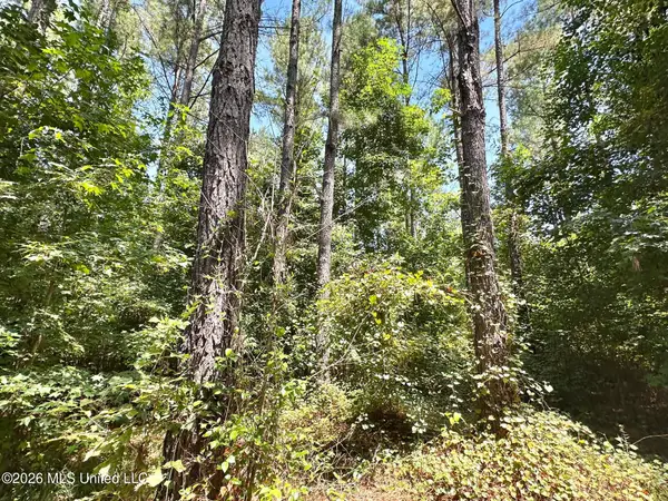 5 County Road 24, Enterprise, MS 39330
