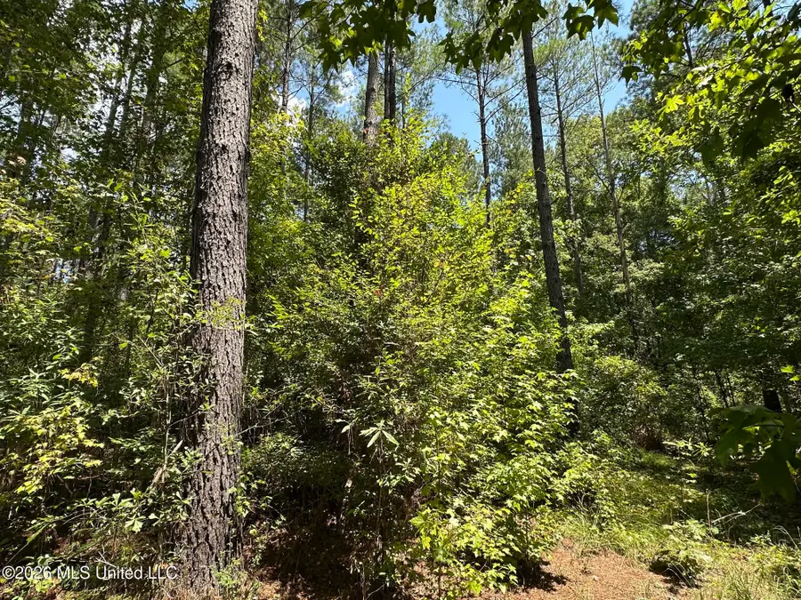 5 County Road 24, Enterprise, MS 39330 - #3