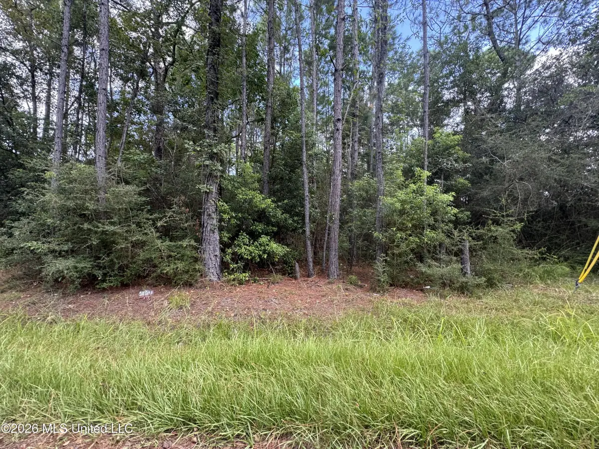 Sycamore Street, Waveland, MS 39576 - #1