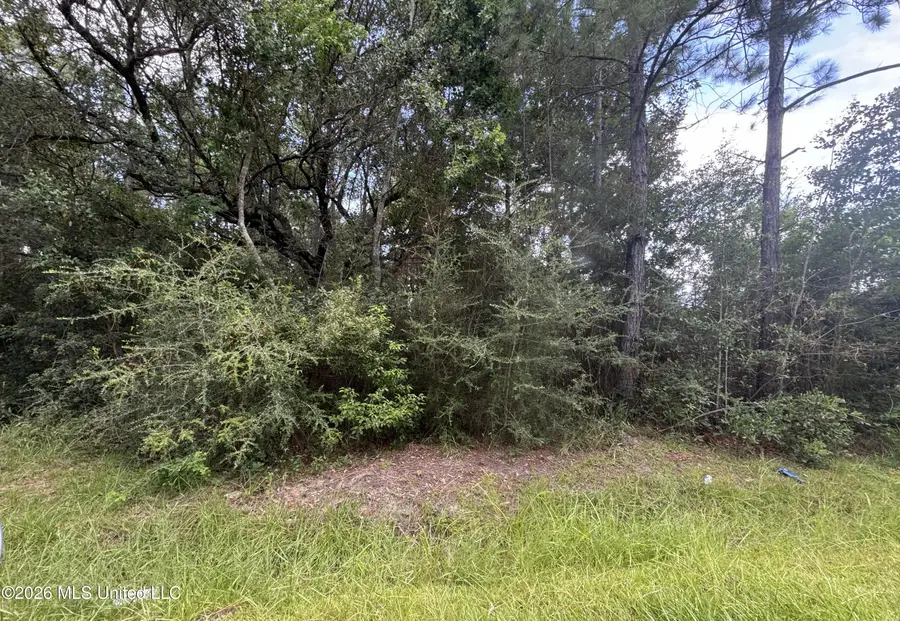 Sycamore Street, Waveland, MS 39576 - #2