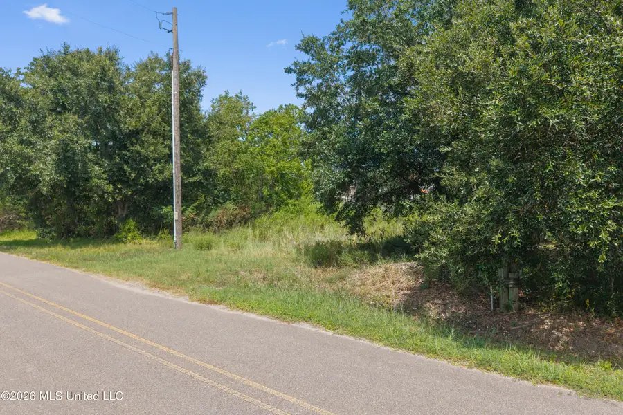 Blue Meadow Road, Bay Saint Louis, MS 39520 - #3