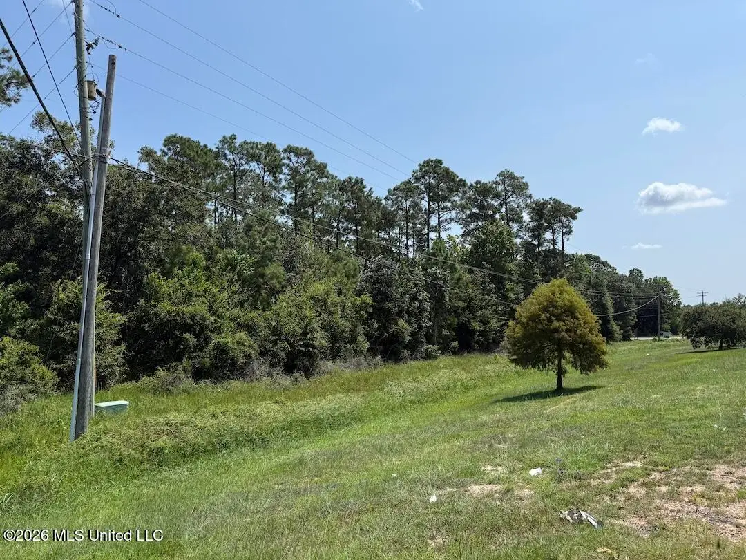 Old Nicholson Road, Bay Saint Louis, MS 39520 - #1