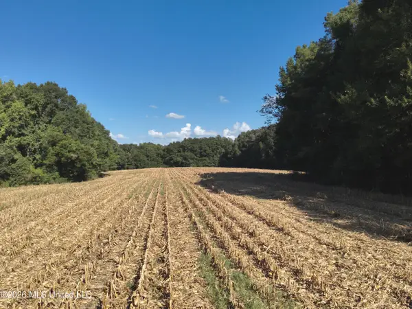1650 Linwood Road, Vaughan, MS 39179