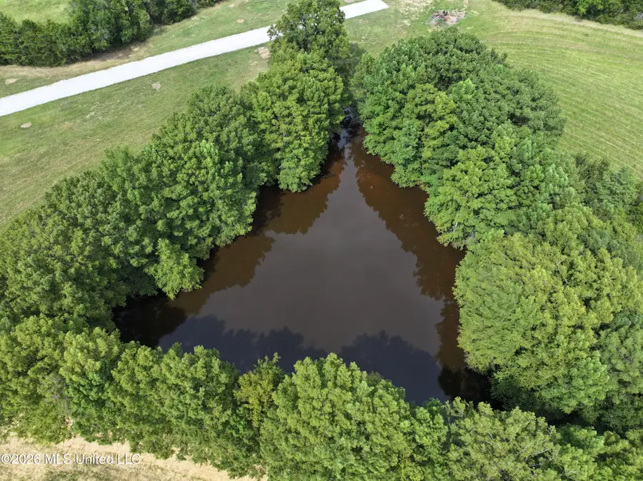 Lot 10 Wildwood, Clinton, MS 39056 - #3