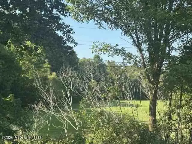 County Road 864, Dennis, MS 38838 - #1
