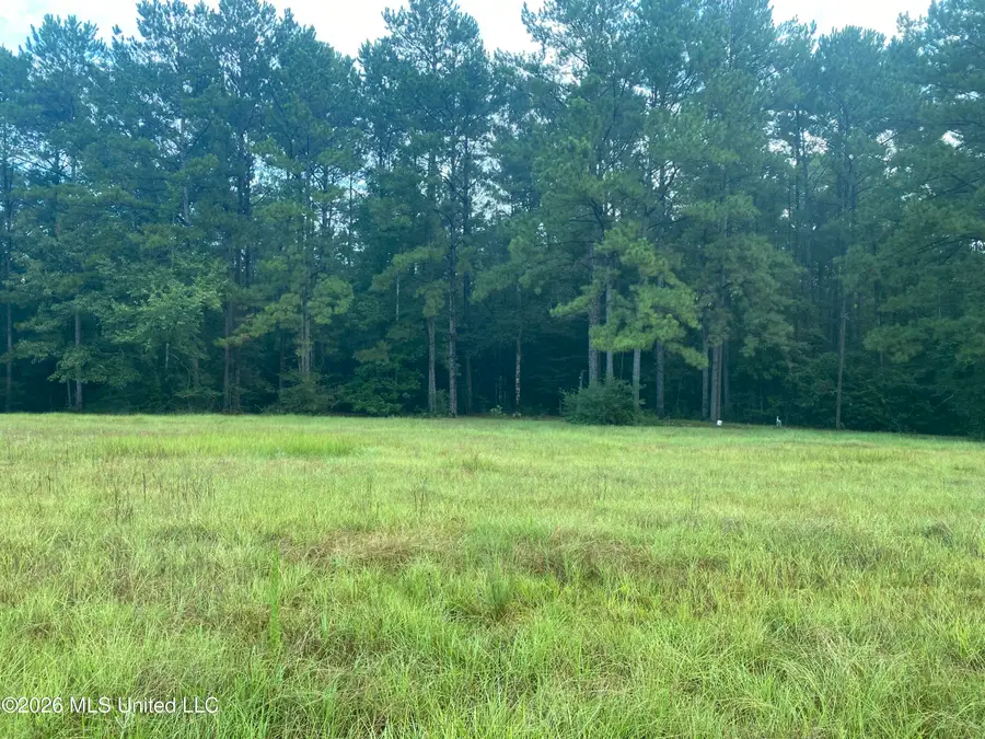 4 E Bond Road, Wiggins, MS 39577 - #2