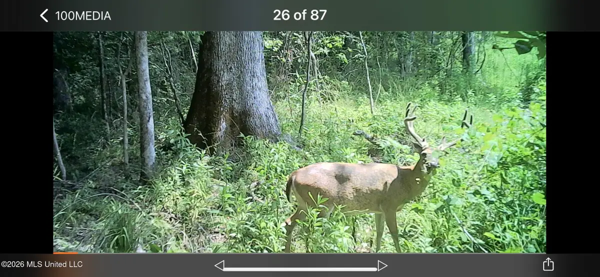 2490 S Shady Grove Road, Goodman, MS 39079 - #1
