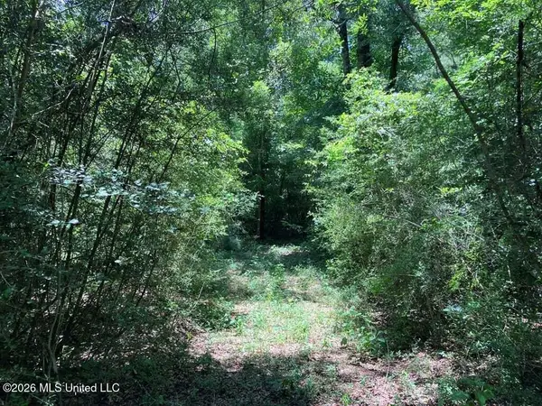 Ms-48, Tylertown, MS 39667