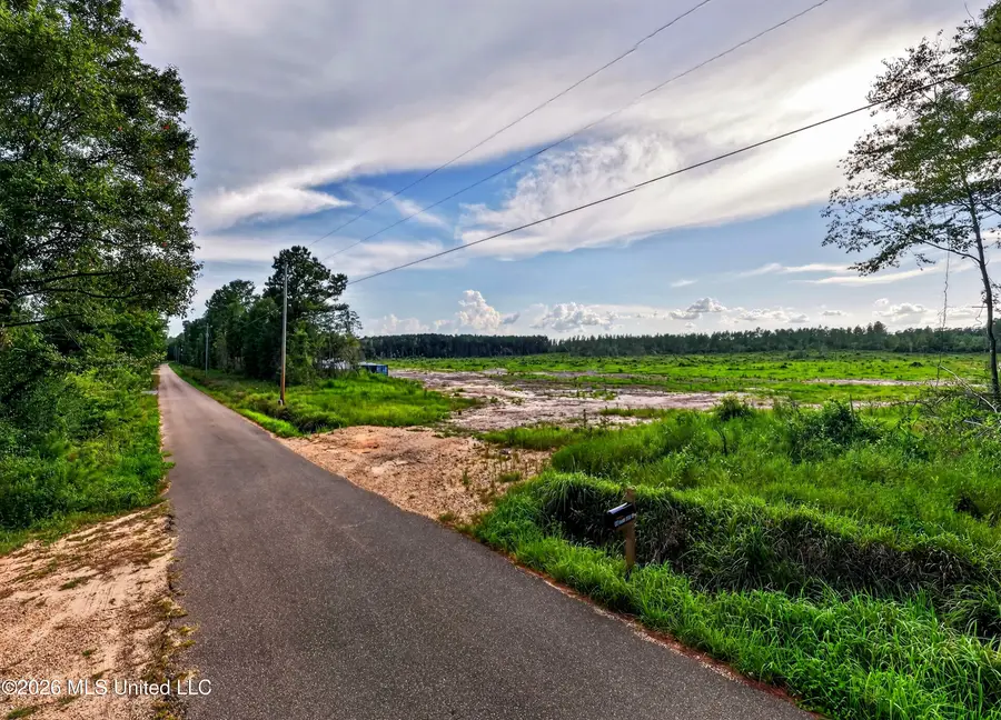 48 Ellis Hart Road, Poplarville, MS 39470 - #3