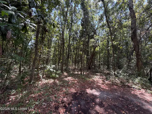 Brumbaugh Road, Ocean Springs, MS 39564