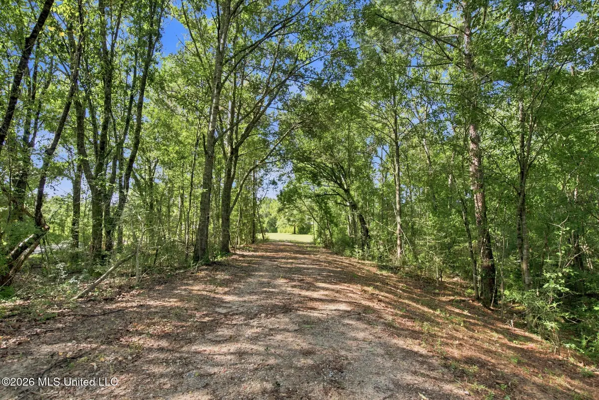 132 Cody Goldman Road, Lucedale, MS 39452 - #1