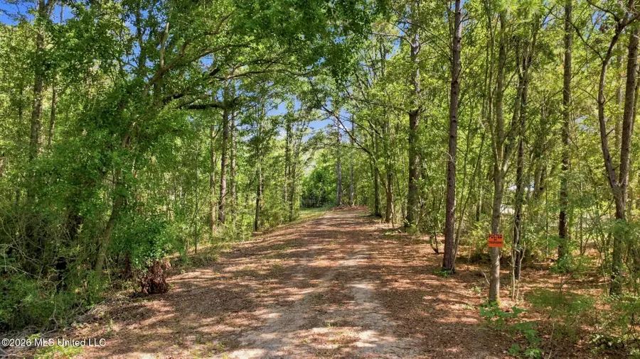 132 Cody Goldman Road, Lucedale, MS 39452 - #2