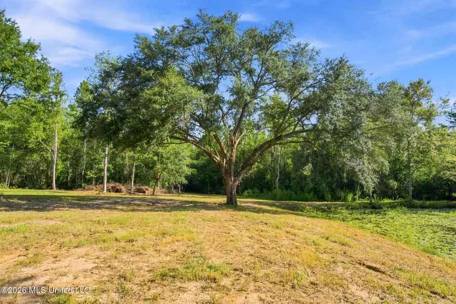132 Cody Goldman Road, Lucedale, MS 39452 - #3