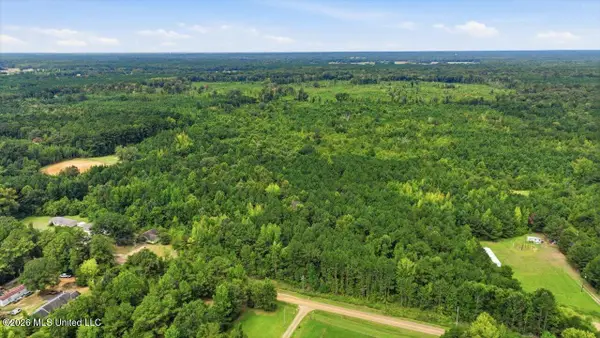 Lot 2 Lottville Road, Canton, MS 39046