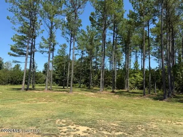 149 Pottery Road, Michigan City, MS 38647 - #2