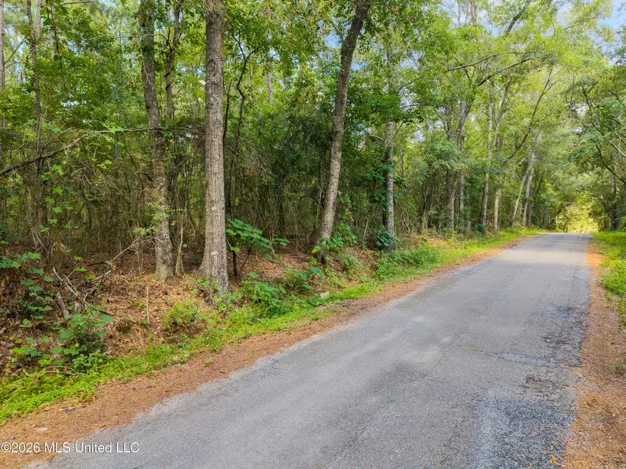 00 Baucum Road, Carriere, MS 39426 - #2