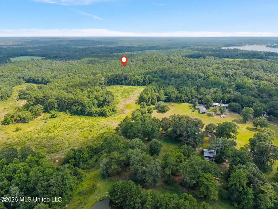 00 Baucum Road, Carriere, MS 39426 - #3