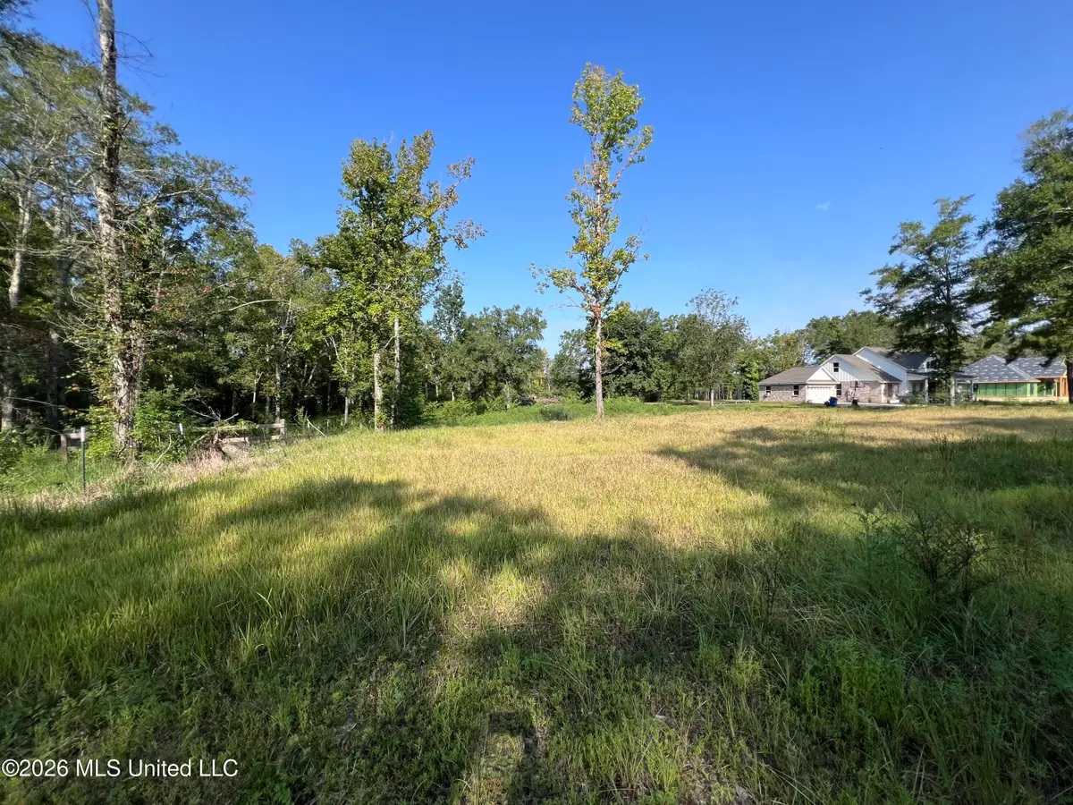Rock Ranch Road, Carriere, MS 39426 - #1