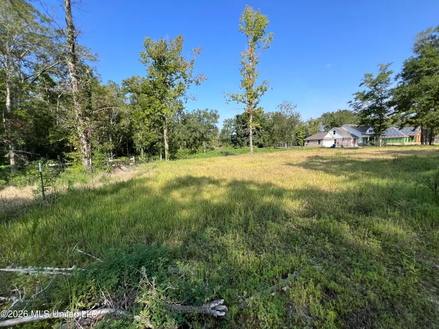 Rock Ranch Road, Carriere, MS 39426 - #2