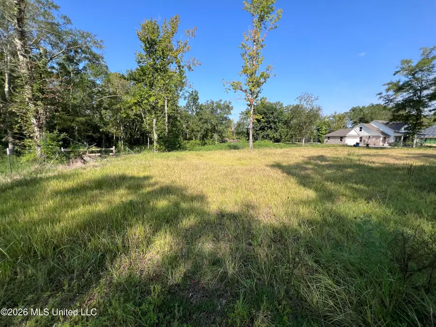 Rock Ranch Road, Carriere, MS 39426 - #3