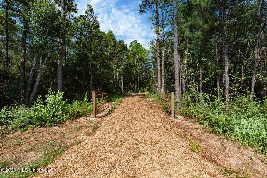 27265 Mississippi 603, Perkinston, MS 39573 - #2