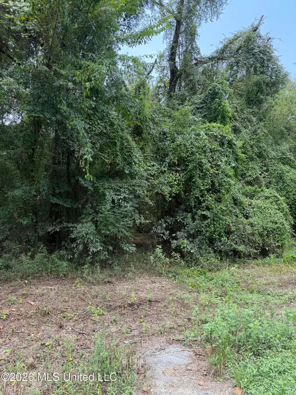 Lot 4 Pascagoula River Drive, Lucedale, MS 39452