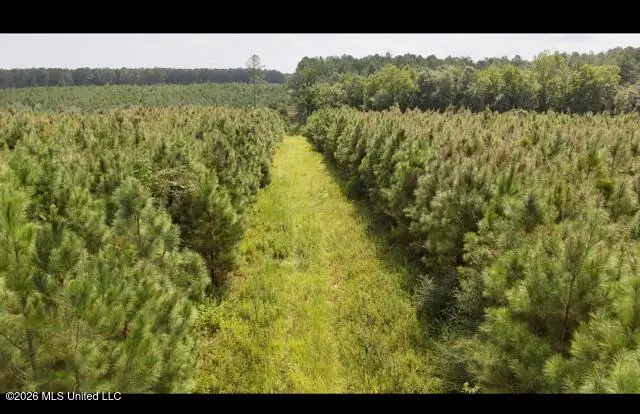 Ten Mile Creek Road, Tylertown, MS 39667 - #1