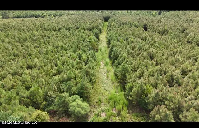 Ten Mile Creek Road, Tylertown, MS 39667 - #3