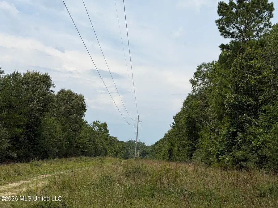 W Woodland Drive, Wiggins, MS 39577 - #2