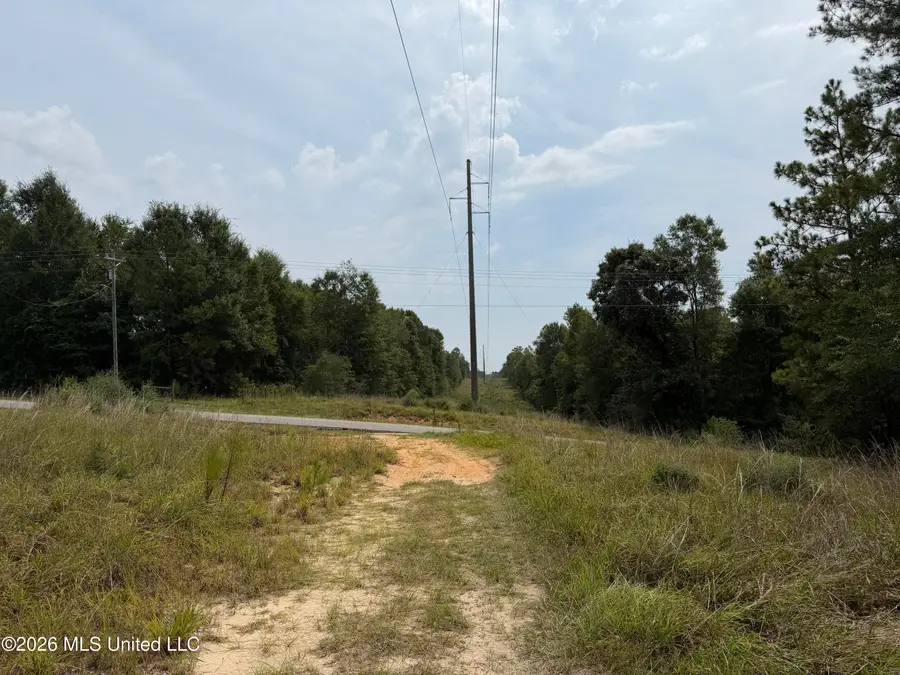 W Woodland Drive, Wiggins, MS 39577 - #3