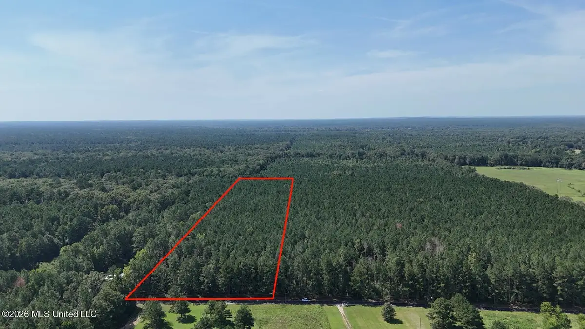 Davis Road, Morton, MS 39117 - #1